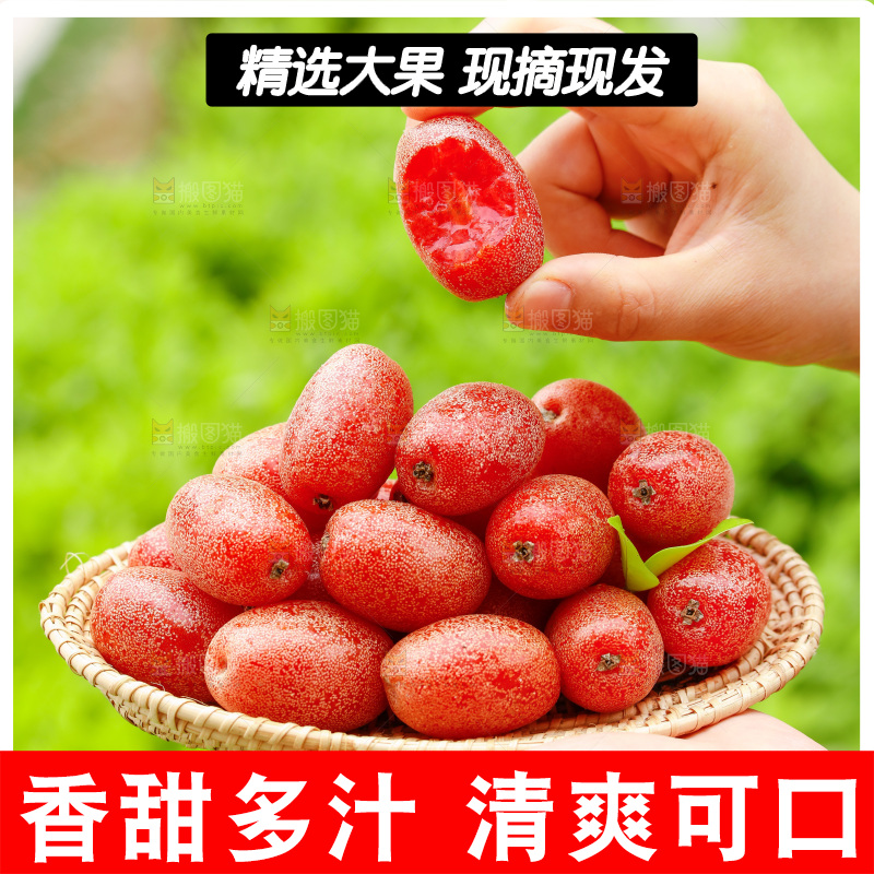 手里端着一盘新鲜羊奶果