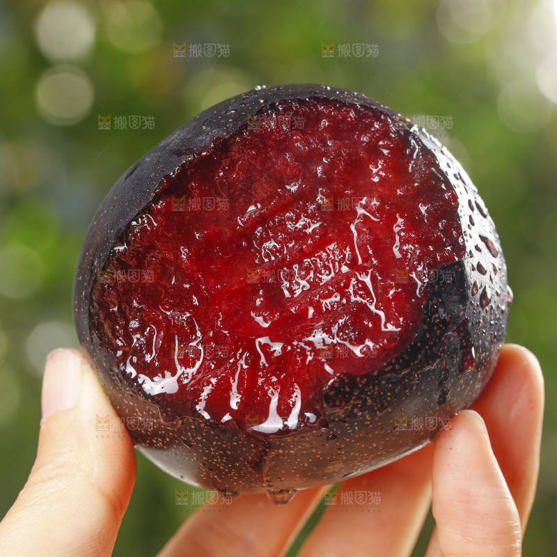 手里拿着恐龙蛋李