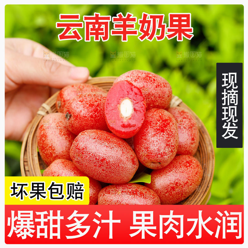手里端着一盘新鲜羊奶果