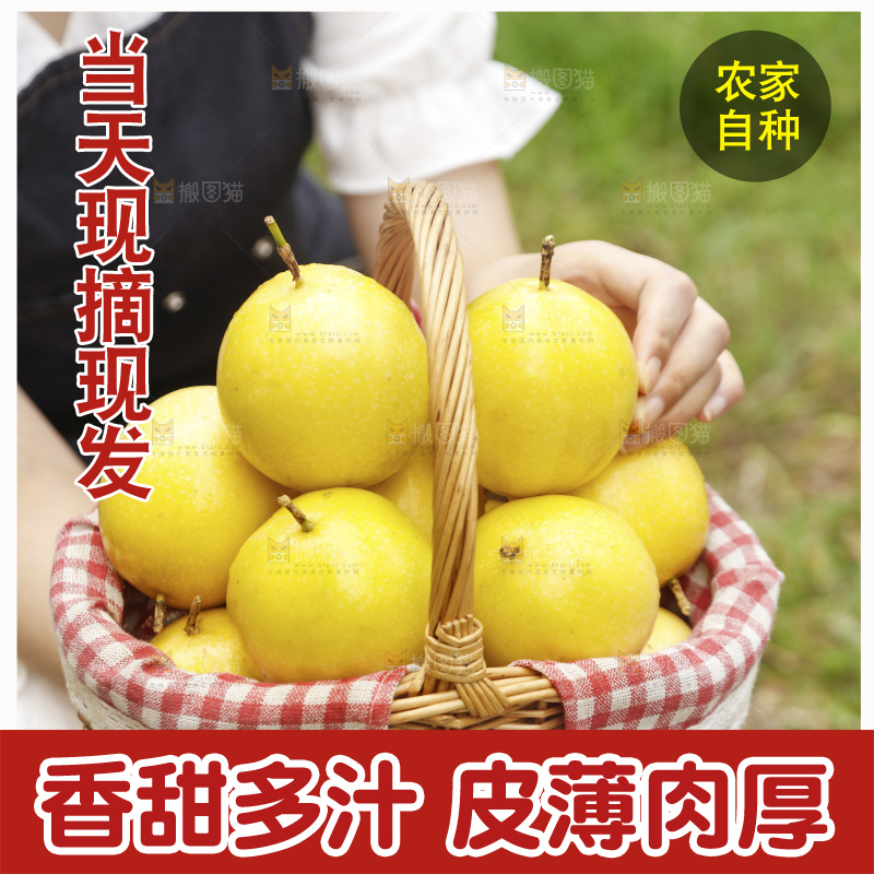 手里着一篮黄金百香果