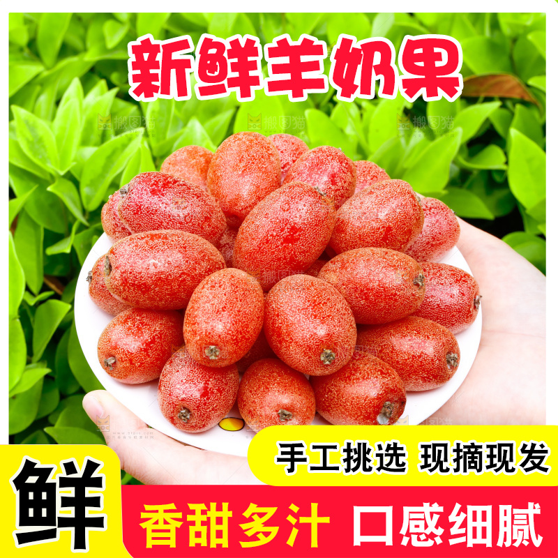 手里端着一盘羊奶果