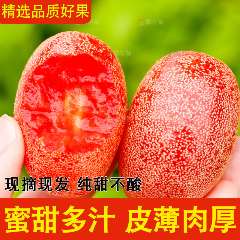 手里拿着酸甜羊奶果