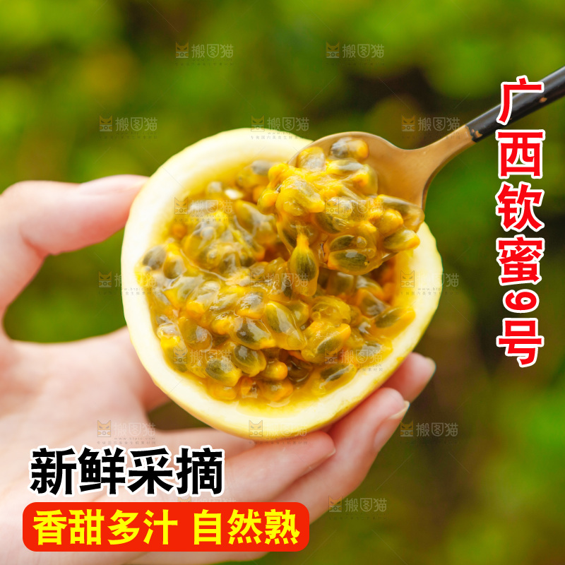 勺子舀着黄金百香果果肉