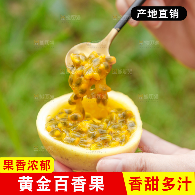 勺子舀着黄金百香果果肉