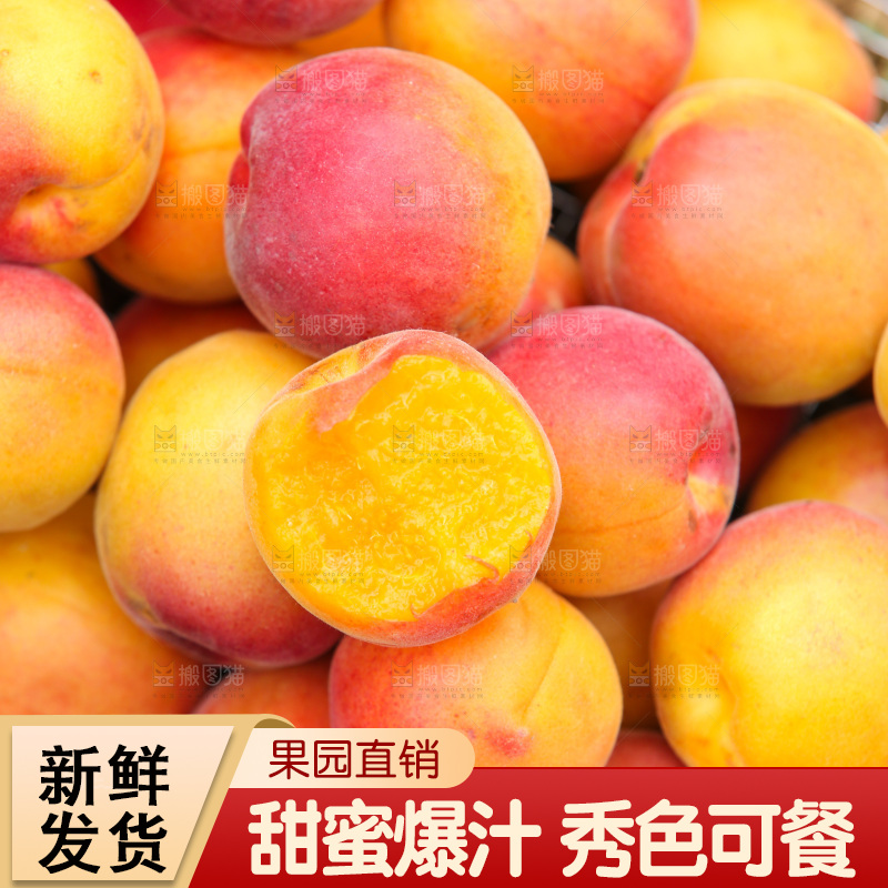 小红杏纹理