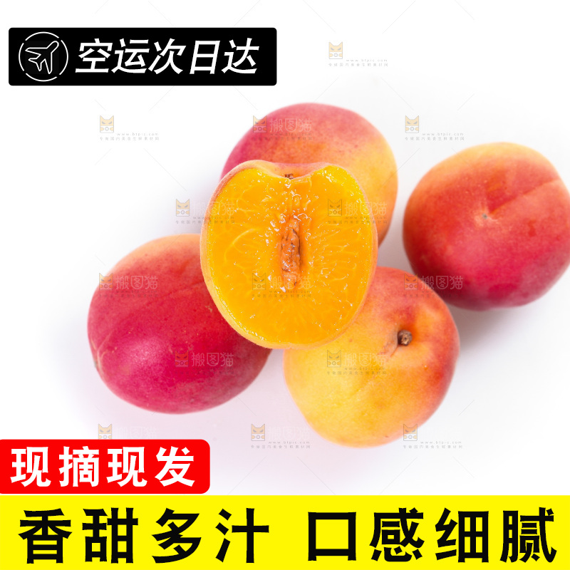 白底上一堆新鲜小红杏