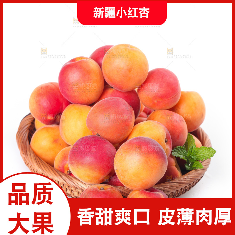 白底上放着一篮崂山蜜杏