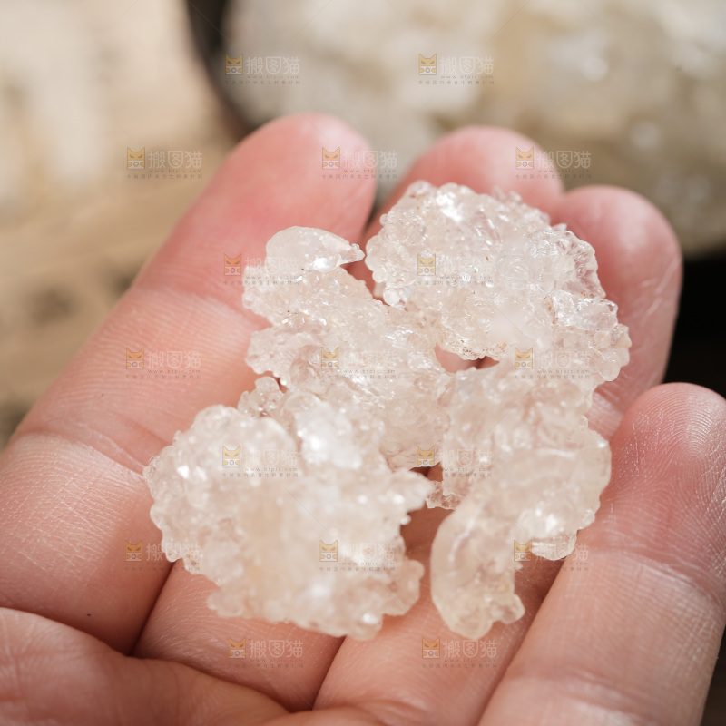 手里拿着拉丝雪燕