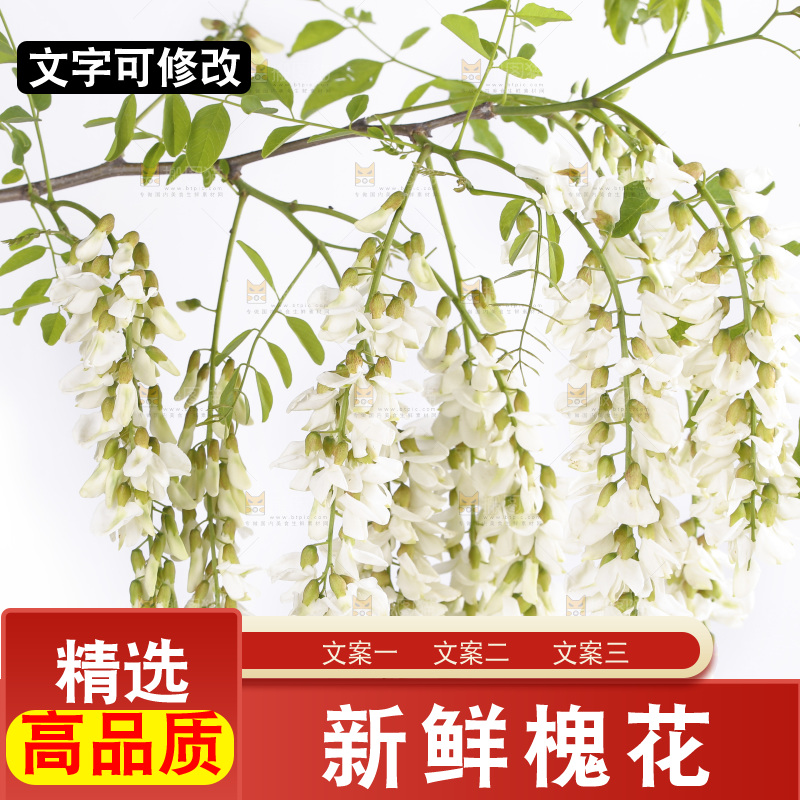 白底上放着槐花
