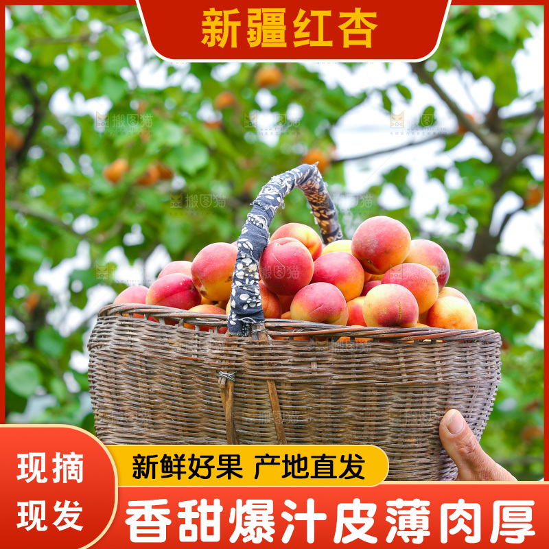 手里拿着一篮崂山蜜桔
