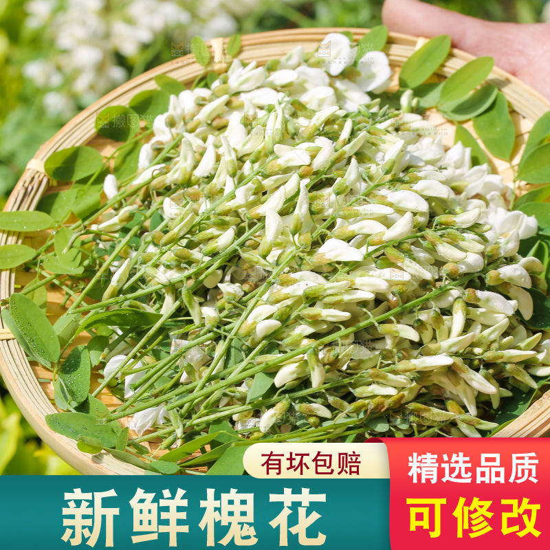 手里端着一盘洋槐花