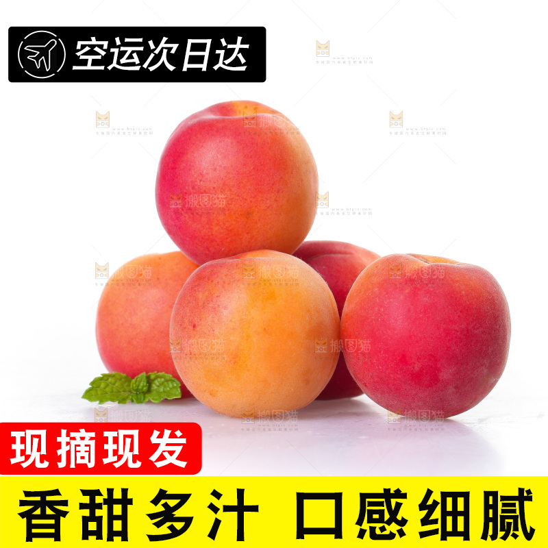 白底上一堆新鲜小红杏