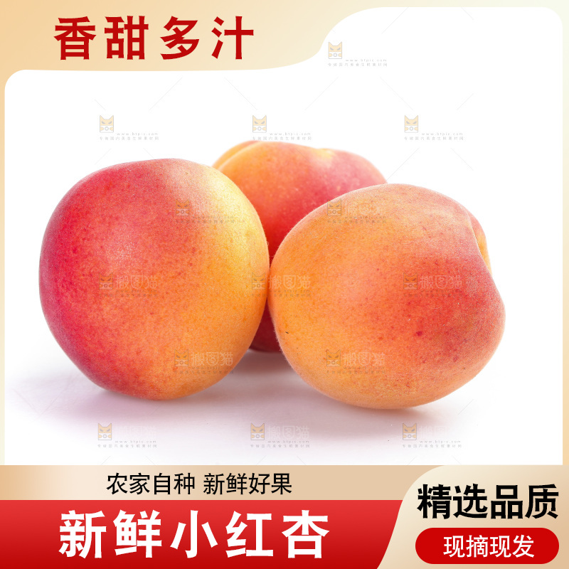 白底上放着小红杏