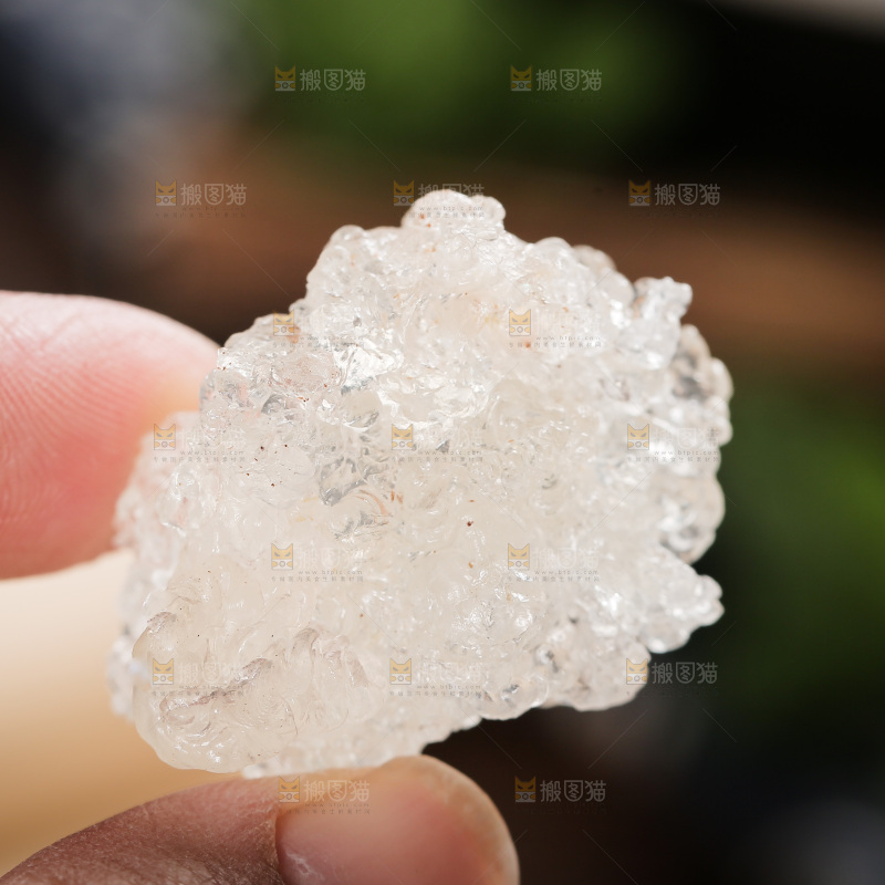 手里拿着拉丝雪燕