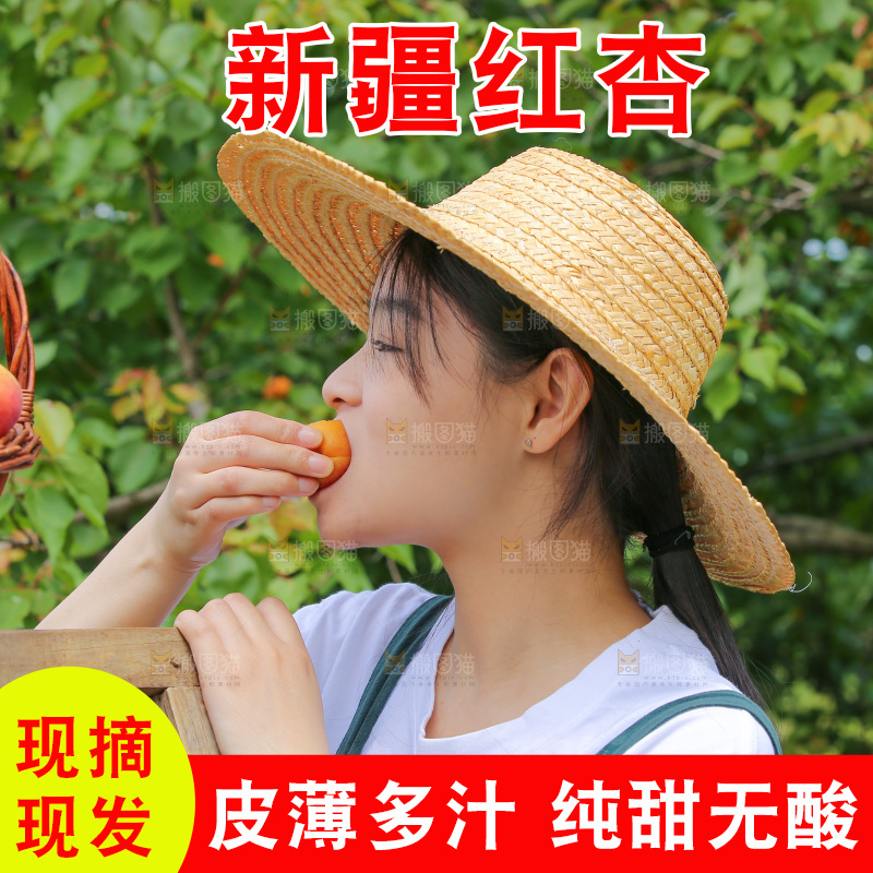 果园里女人吃着红杏