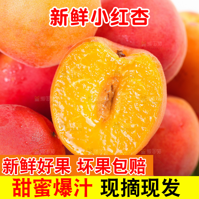 小红杏纹理
