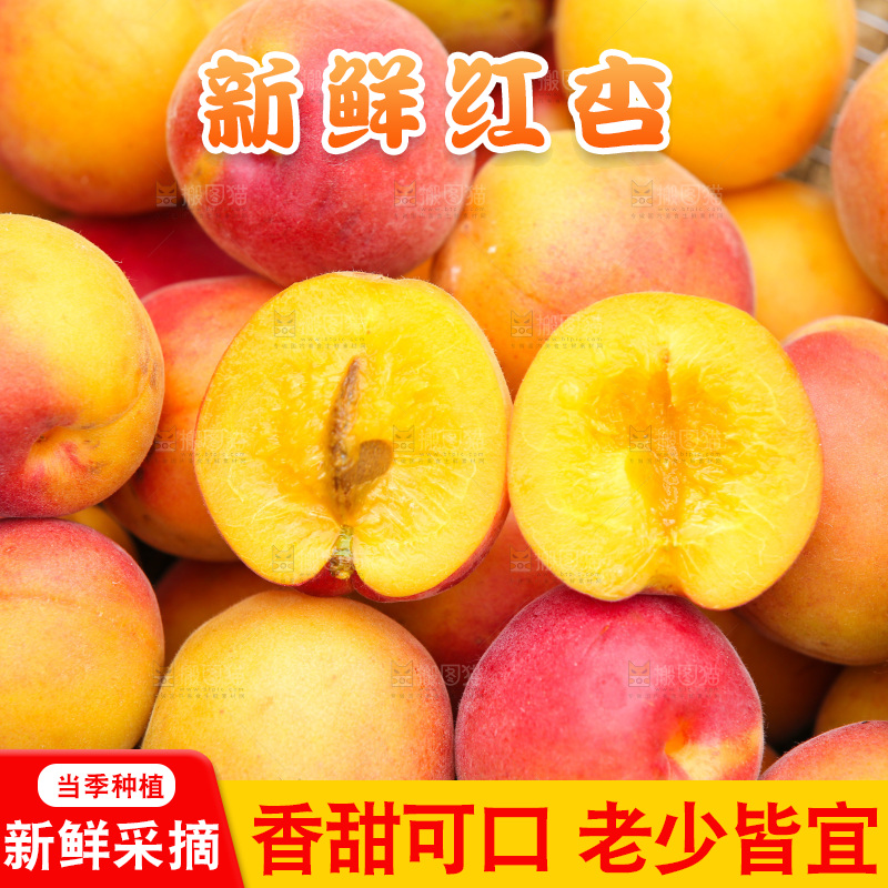 小红杏纹理