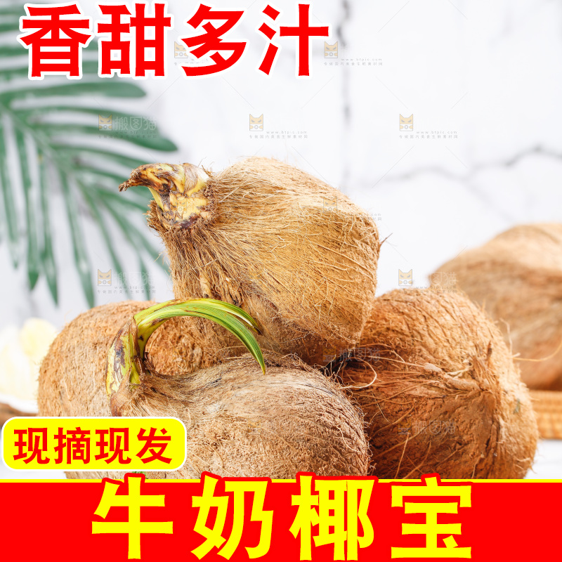 木盘里放着海南椰宝