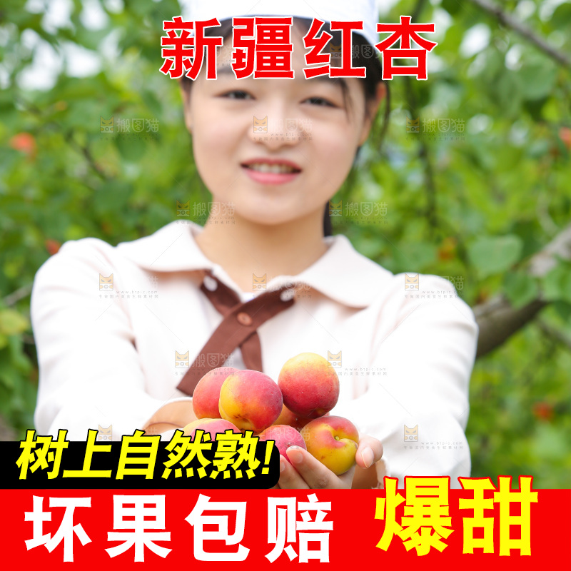 果园里女人手里捧着红杏