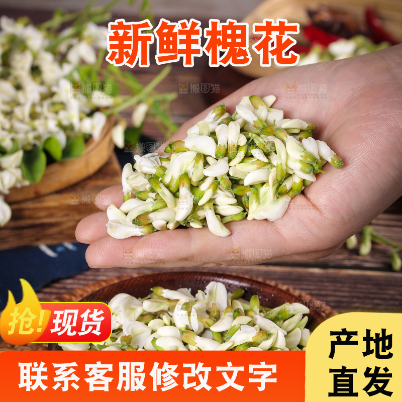 手里拿着新鲜槐花