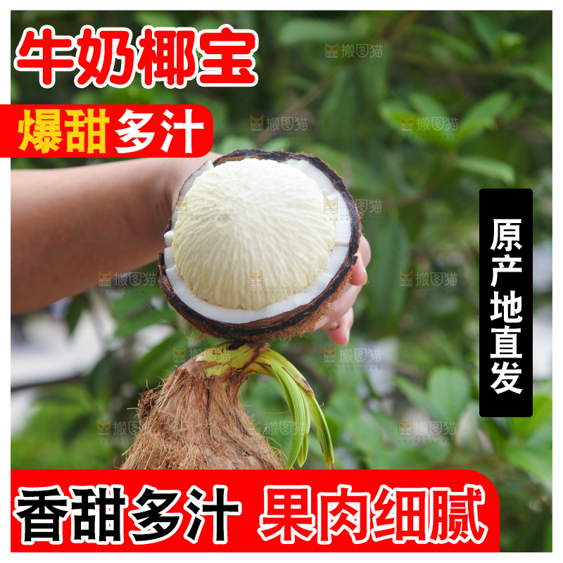 手里拿着海南椰宝