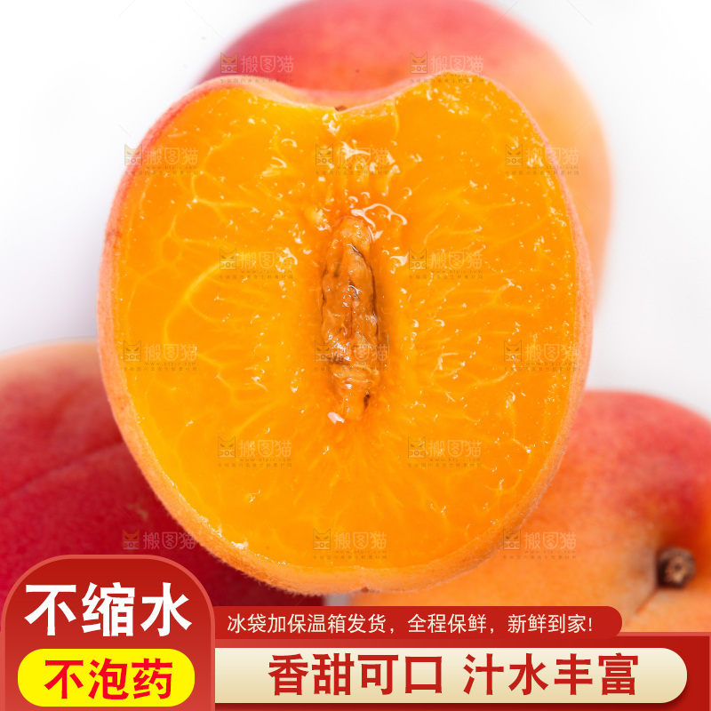 白底上一堆新鲜小红杏
