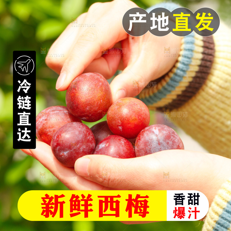 手里拿着新鲜西梅