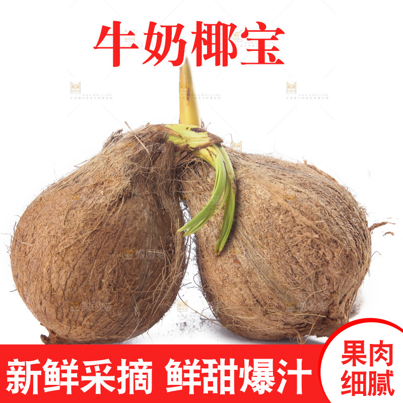 白底上放着海南椰宝