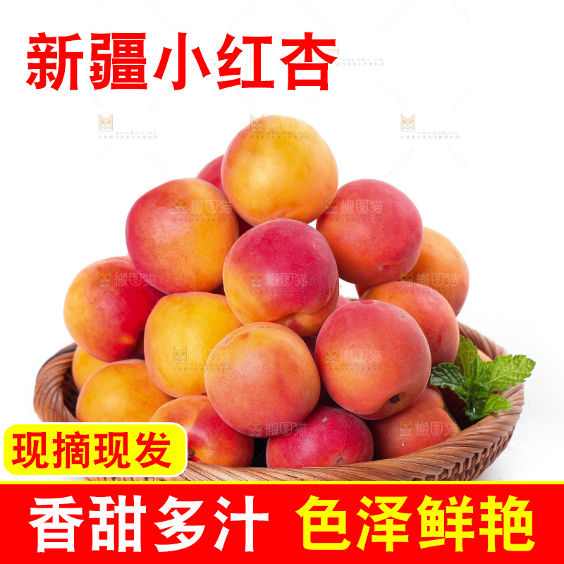 白底上放着一篮崂山蜜杏