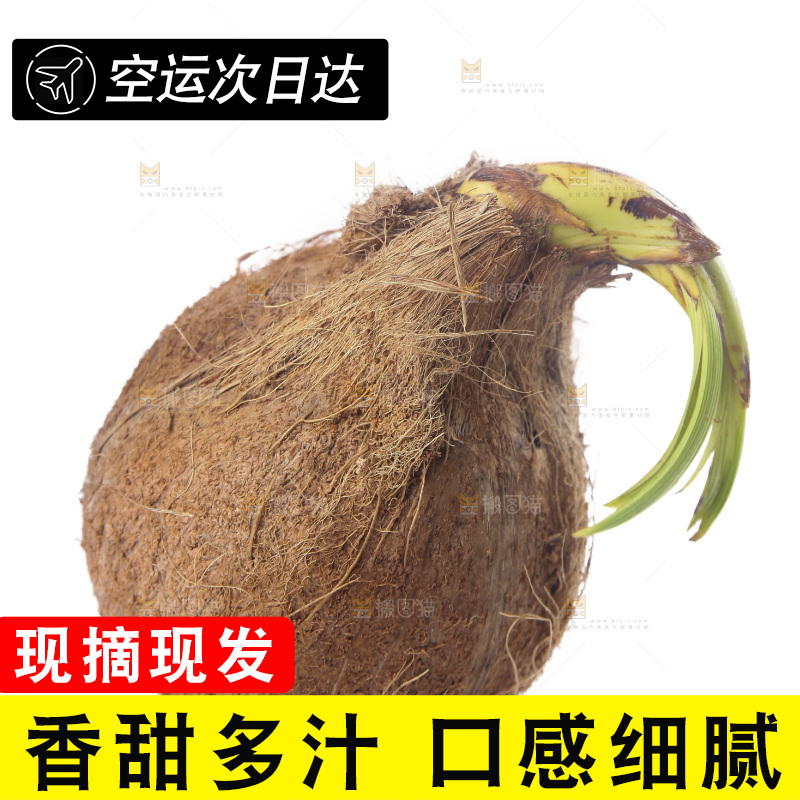 白底上放着海南椰宝