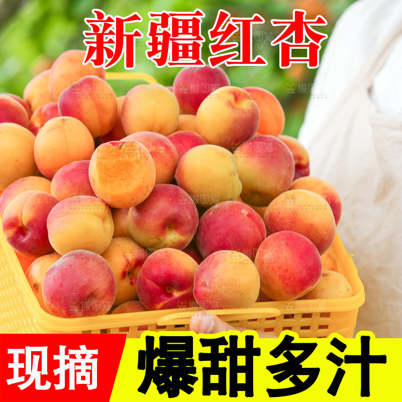 手里端着一篮新鲜小红杏