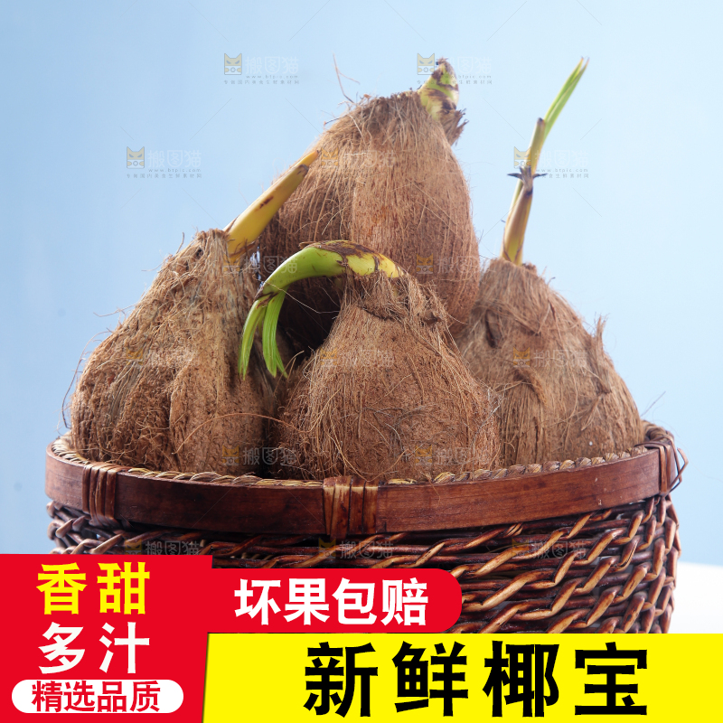 桌上放着一篮新鲜椰宝