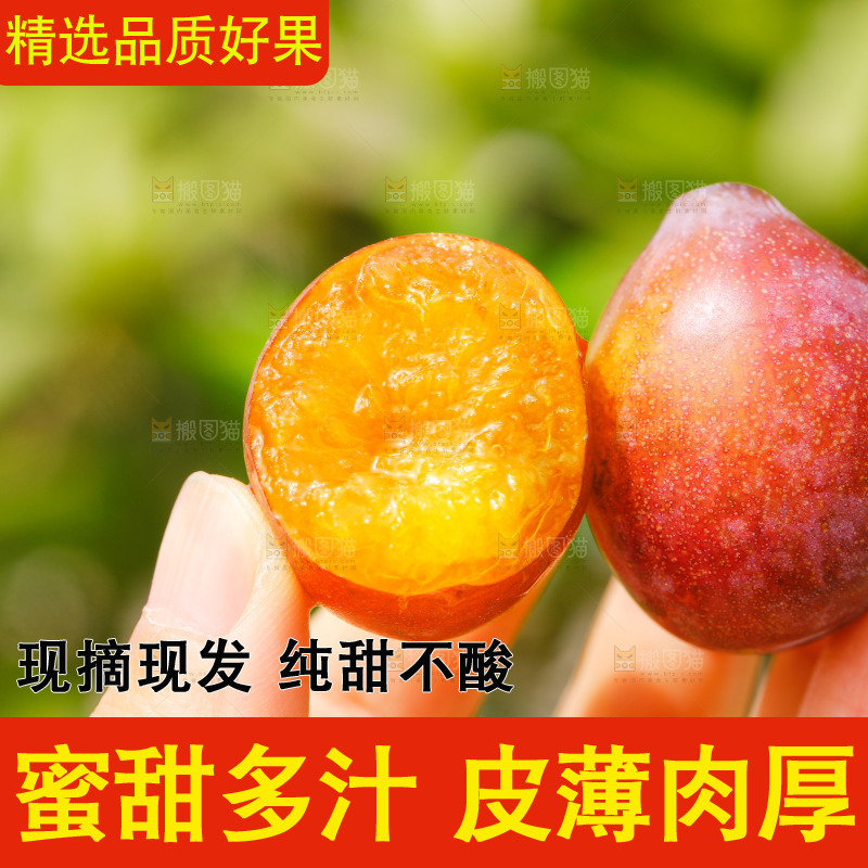 手里拿着新鲜西梅