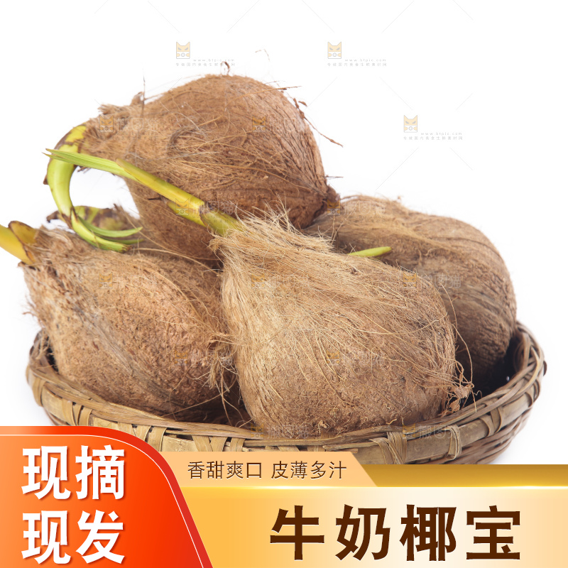 白底上放着一篮椰宝