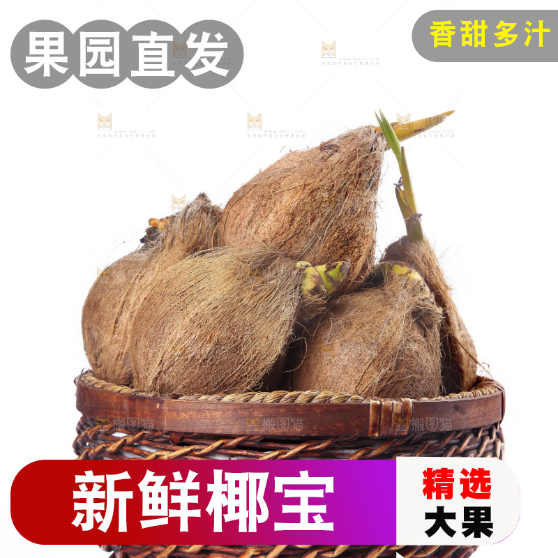 白底上放着一篮椰宝