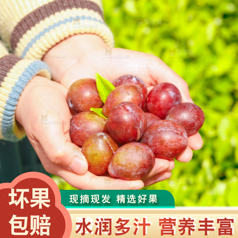 手里捧着西梅