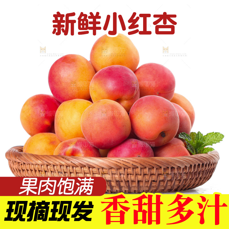 白底上放着一篮崂山蜜杏