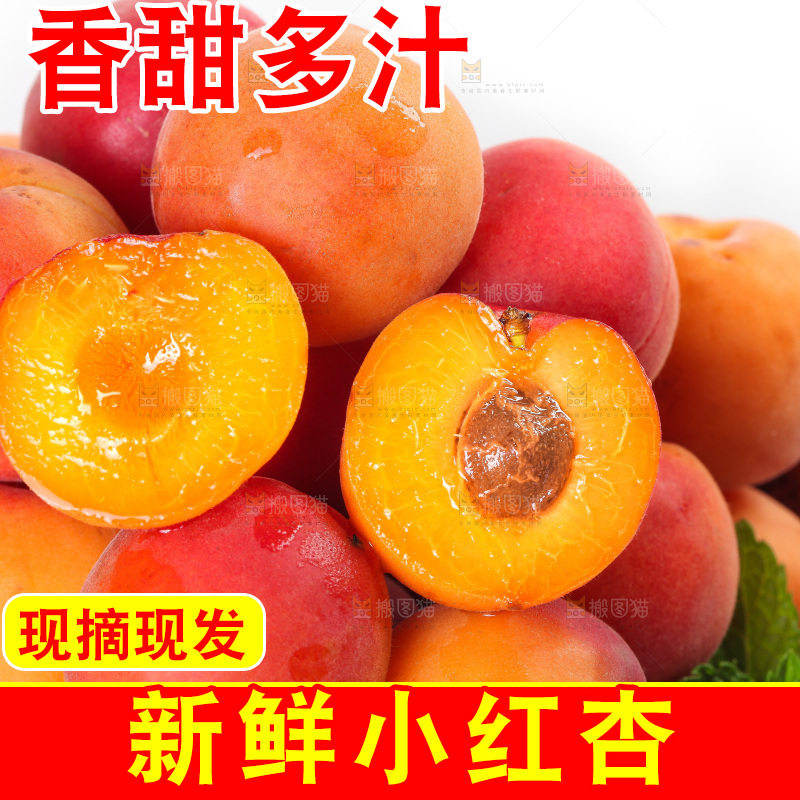 白底上摆放着一篮贵妃杏