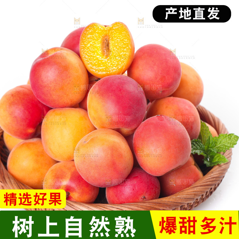 白底上放着一篮崂山蜜杏