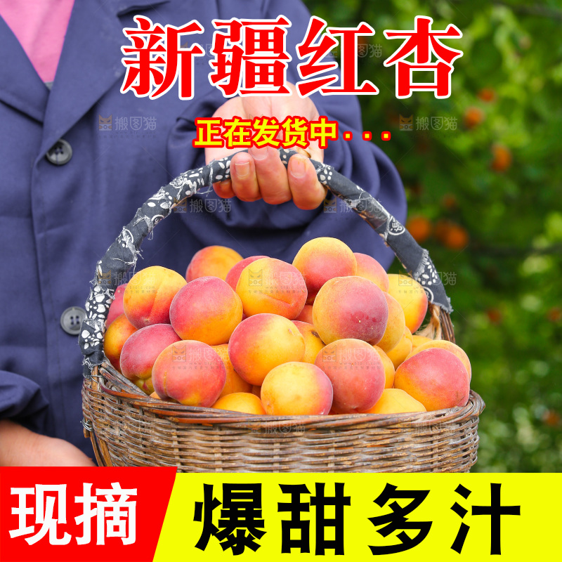 手里提着一篮新鲜小红杏