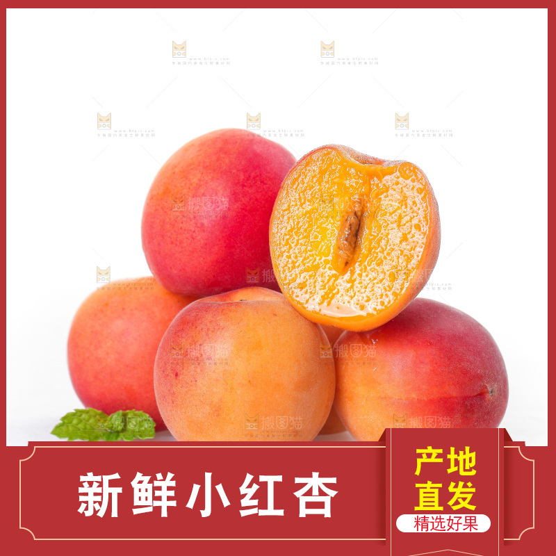白底上一堆新鲜小红杏