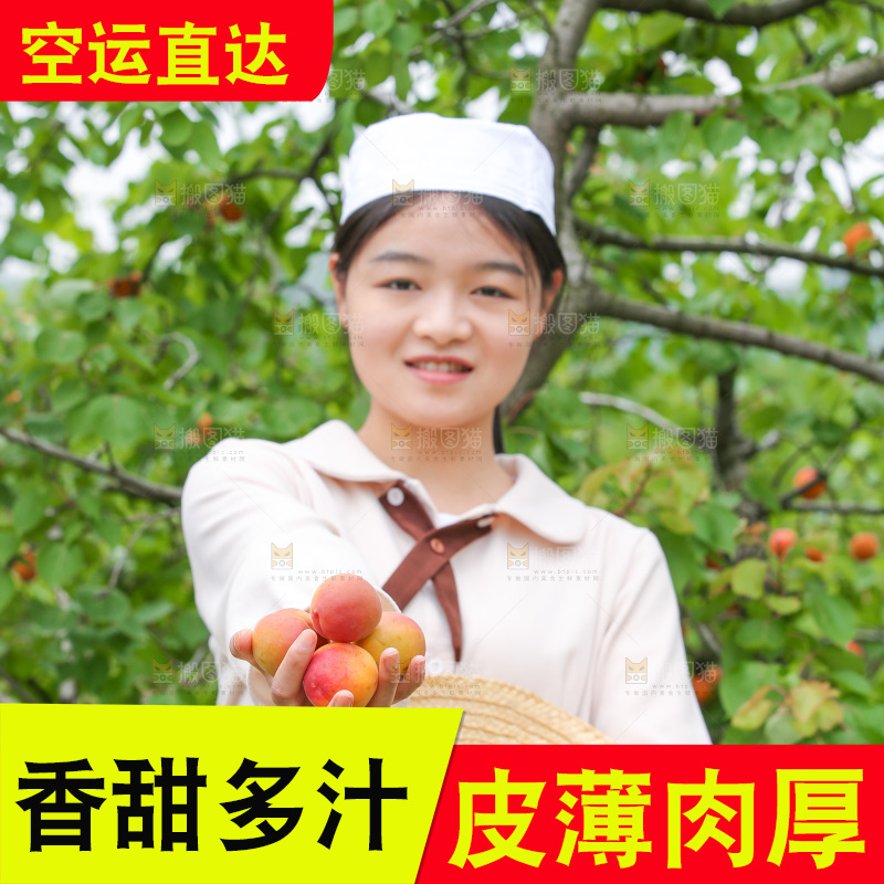 果园里女人拿着红杏