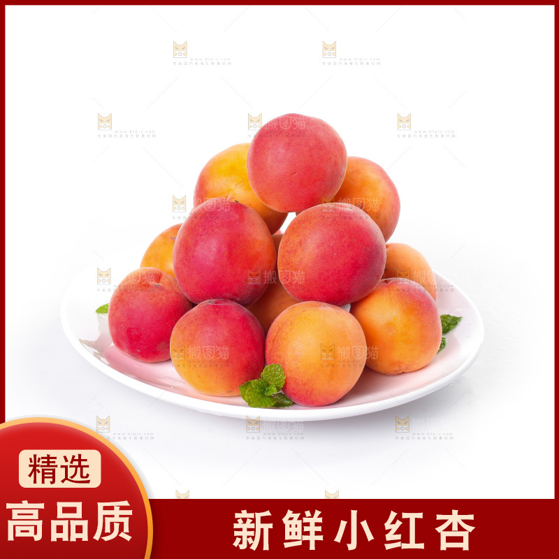 白底上放着一盘新疆小红杏