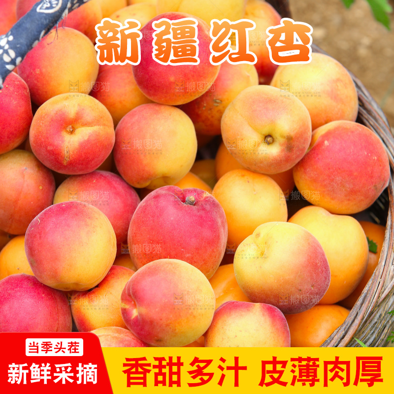 一篮新疆小红杏