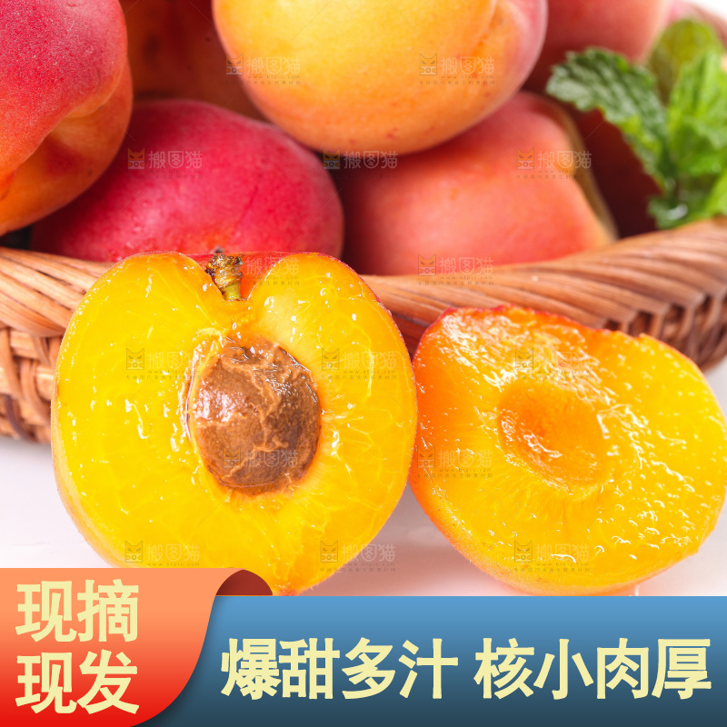 白底上摆放着一篮贵妃杏