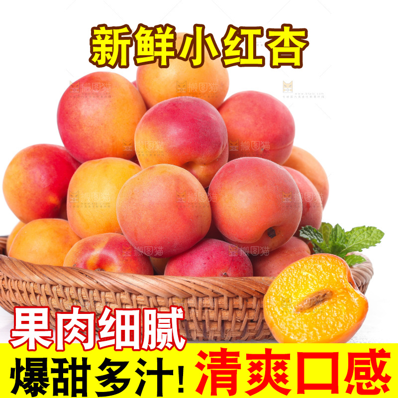 白底上放着一篮崂山蜜杏