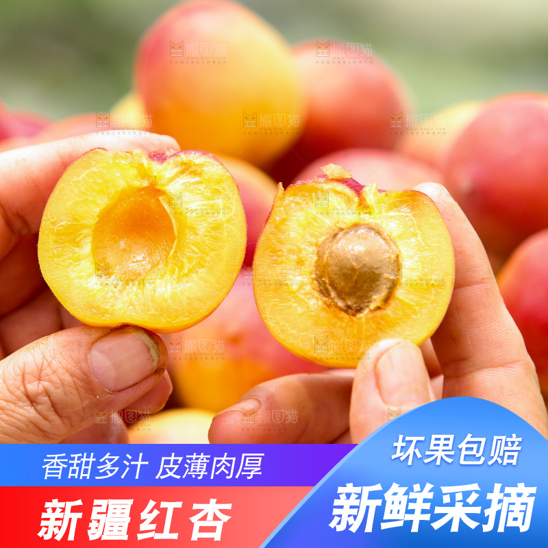 手里拿着小红杏