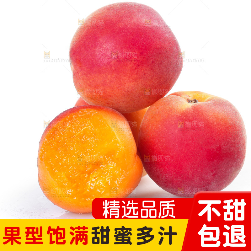 白底上放着小红杏