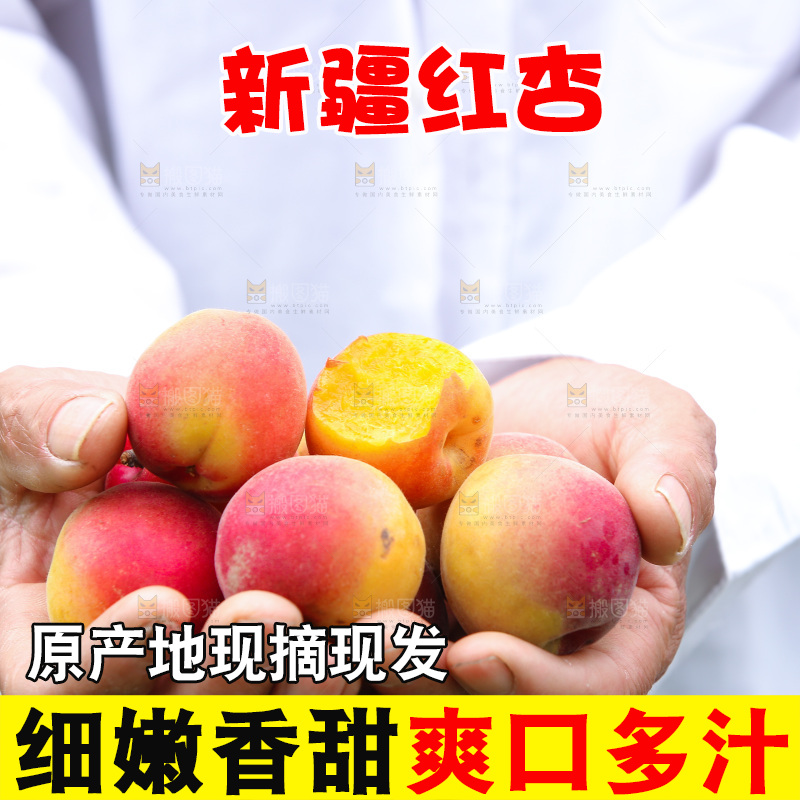 手里捧着小红杏
