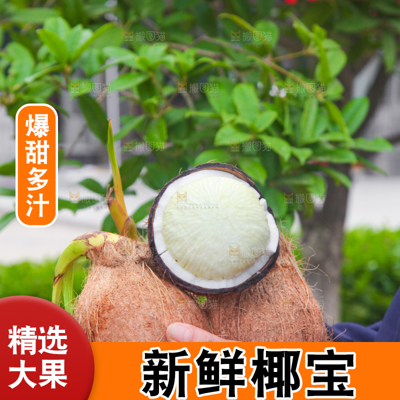 手里捧着海南椰宝